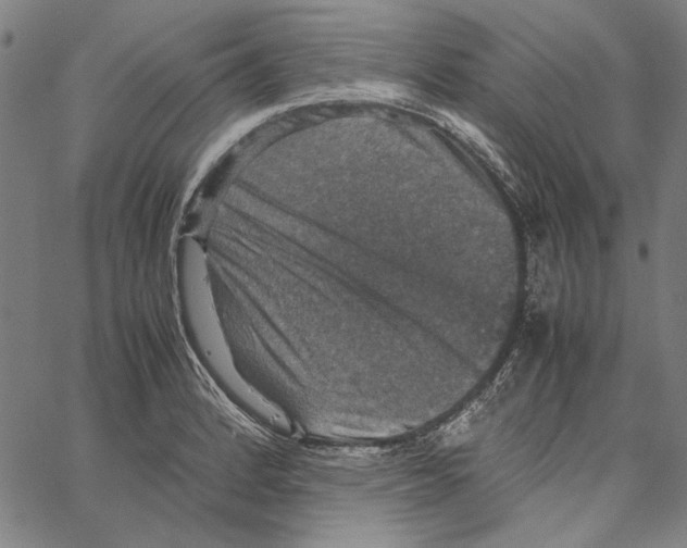X0000062151184200601060941