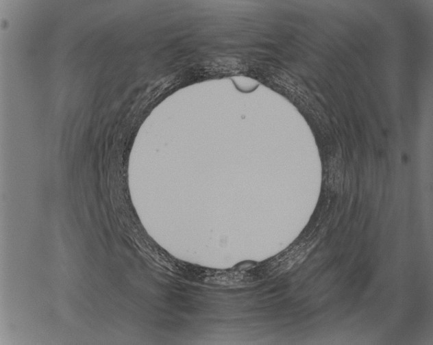 X0000062151201200601060940