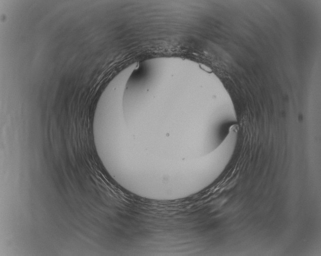 X0000062151202200601060940