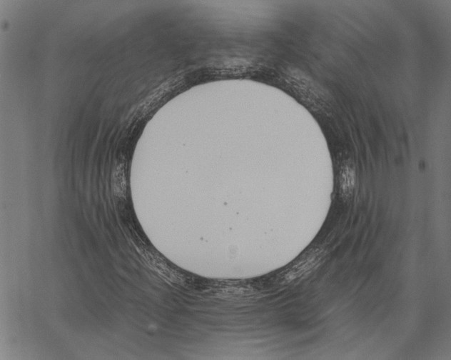 X0000062151204200601060940