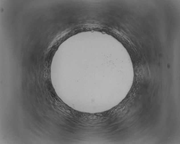 X0000062151207200601060940