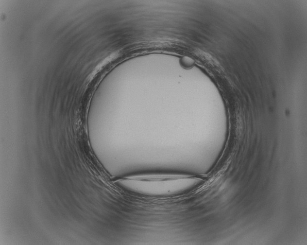 X0000062151210200601060940