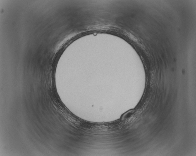 X0000062151214200601060940