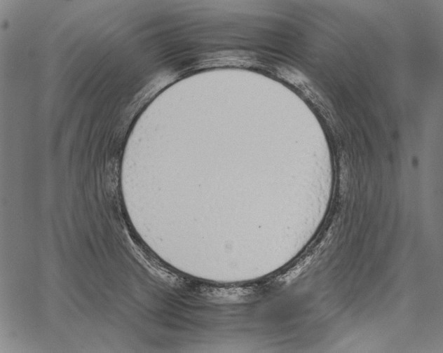 X0000062151233200601060940