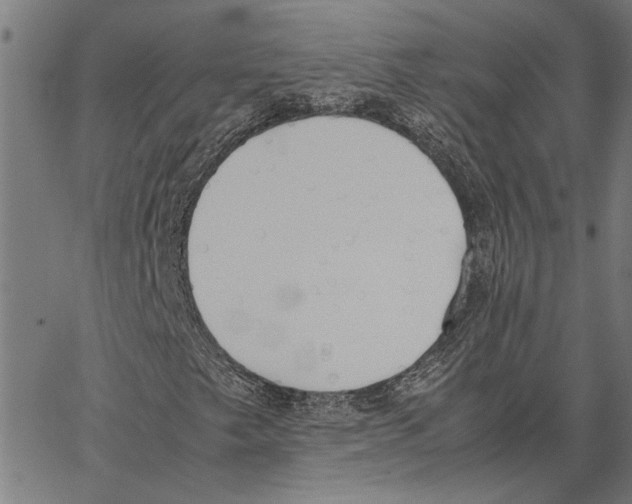 X0000062151249200601060940