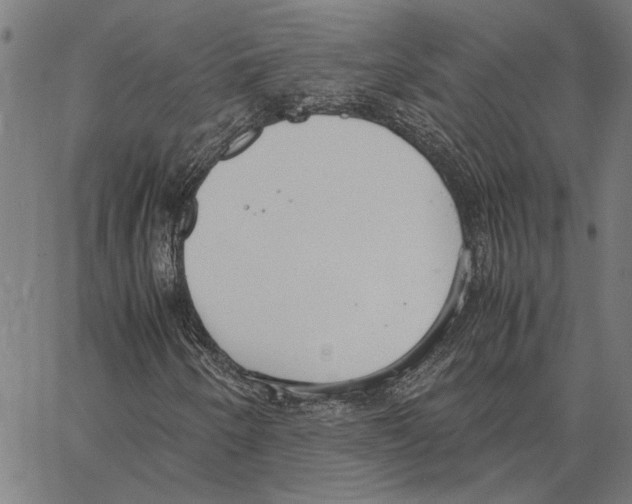 X0000062151250200601060940