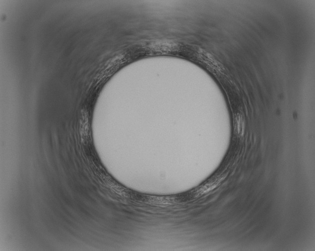 X0000062151251200601060940
