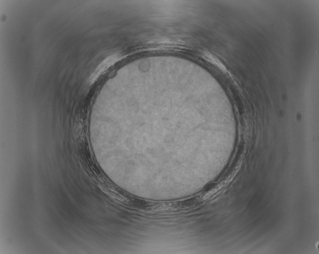 X0000062151259200601060940