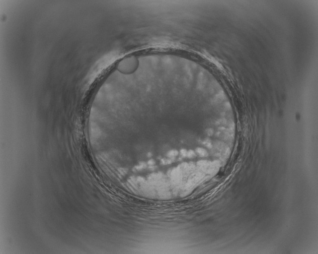 X0000062151263200601060940