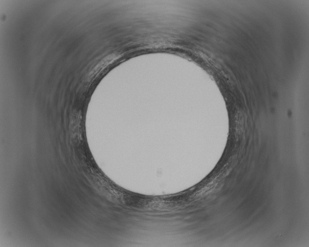 X0000062151265200601060940