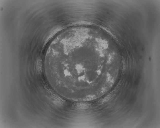 X0000062151266200601060940