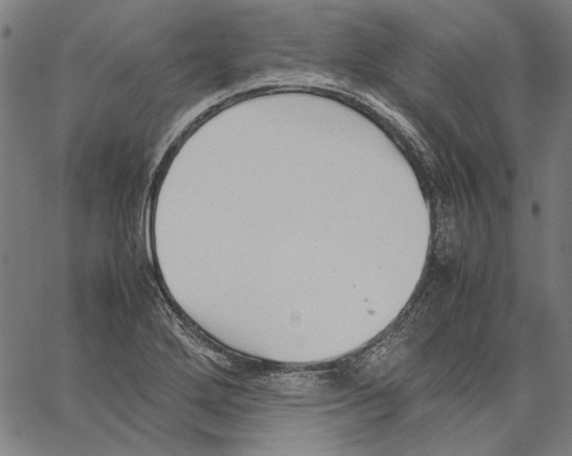 X0000062151272200601060939