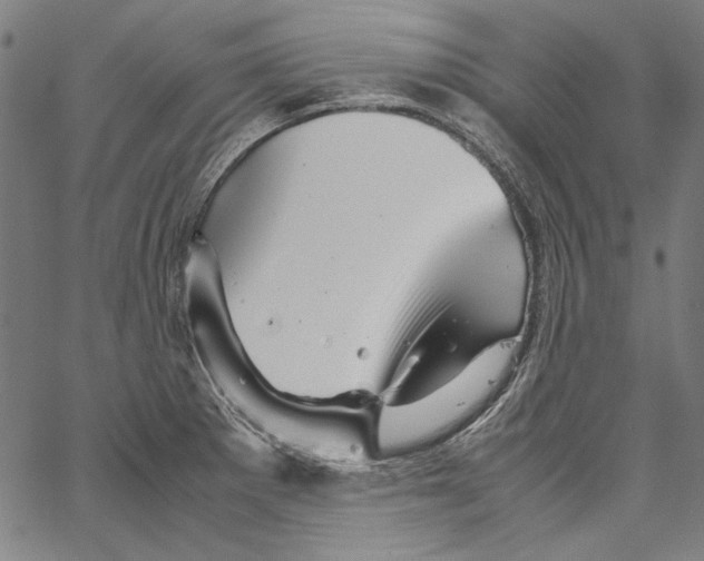 X0000062151281200601060939