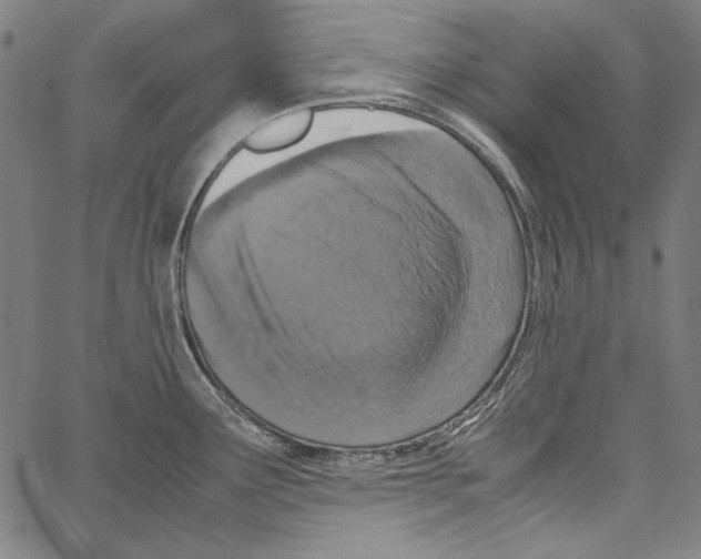 X0000062151291200601060939