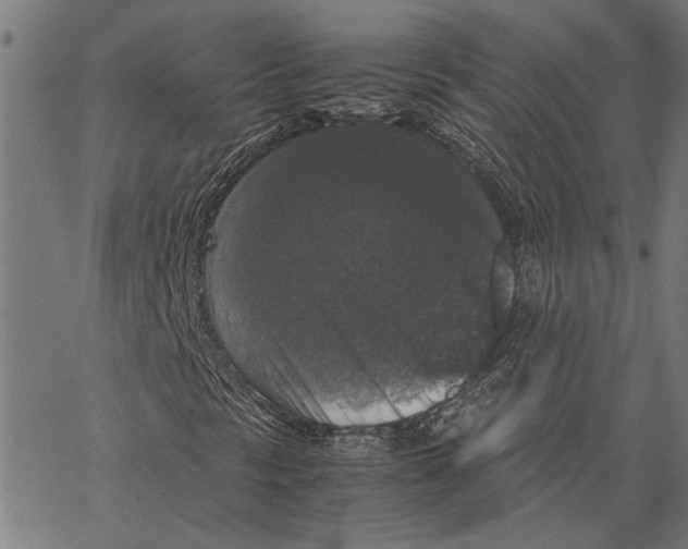 X0000062151297200601060938