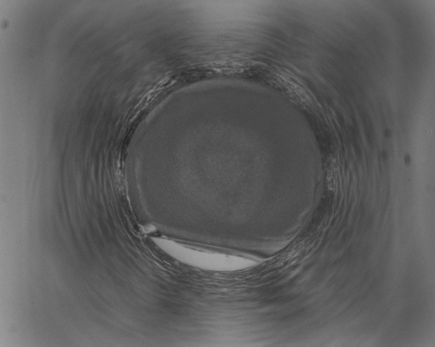 X0000062151298200601060938