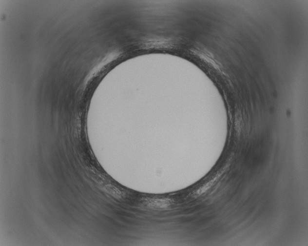 X0000062151309200601060938