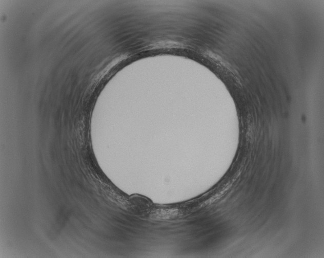 X0000062151313200601060939