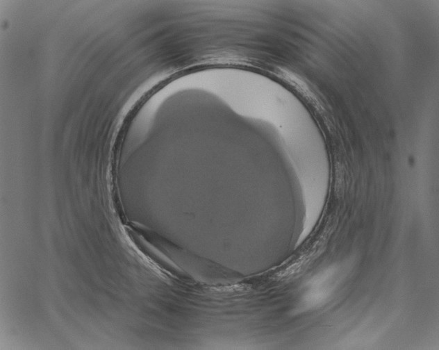 X0000062151331200601060939