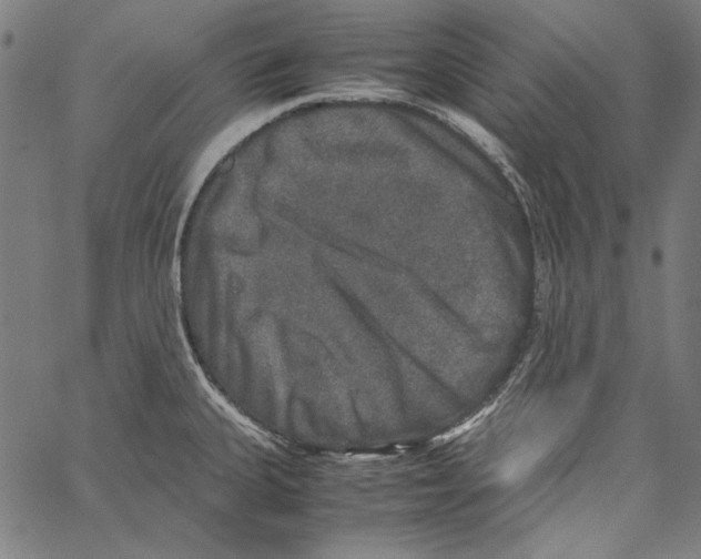 X0000062151335200601060939