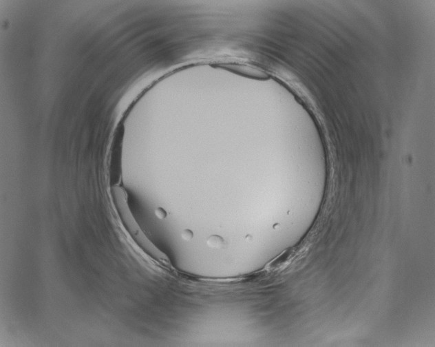 X0000062151344200601060939