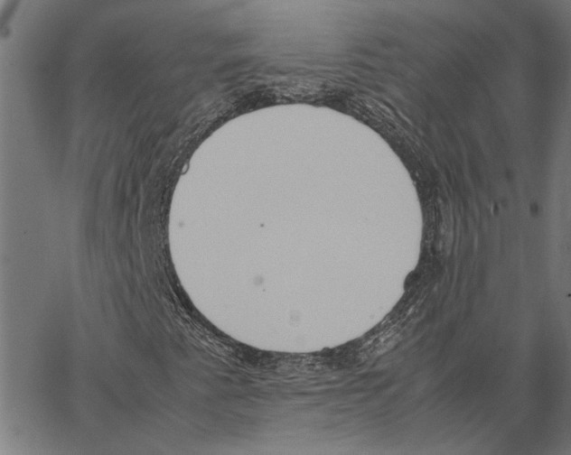 X0000062151345200601060938
