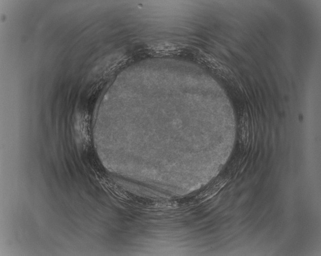 X0000062151346200601060938