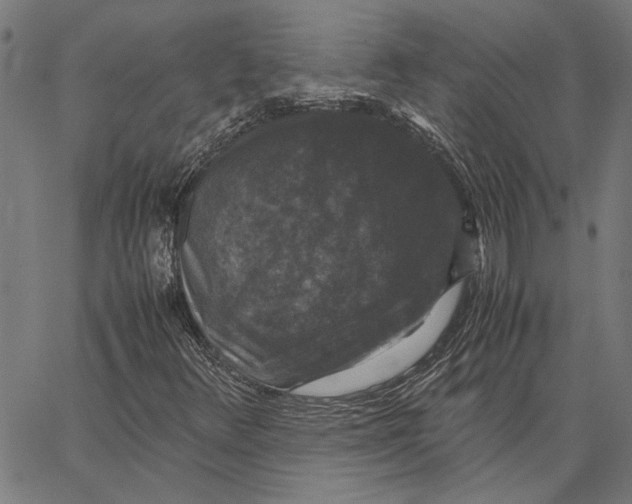 X0000062151348200601060938