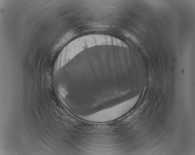 X0000062151354200601060938