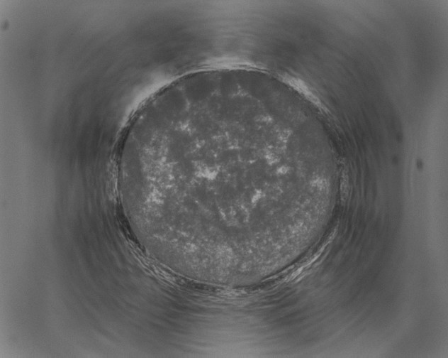 X0000062151358200601060938