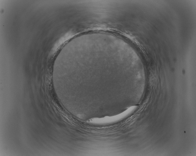 X0000062151359200601060938