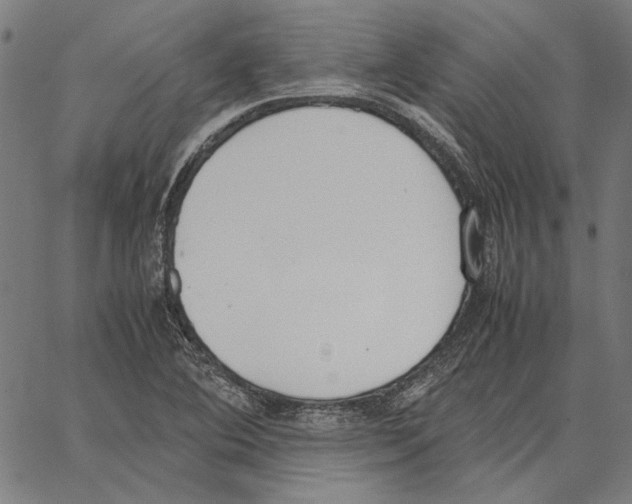 X0000062151364200601060938
