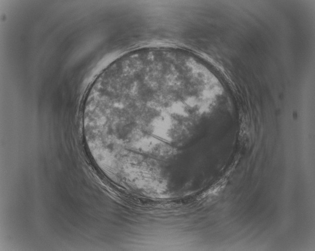 X0000062151367200601060938