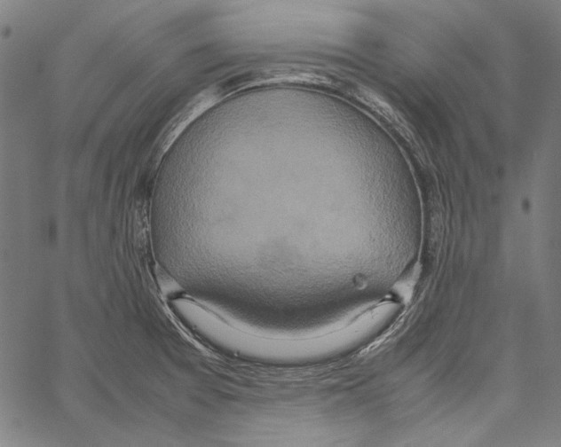 X0000062151377200601060938