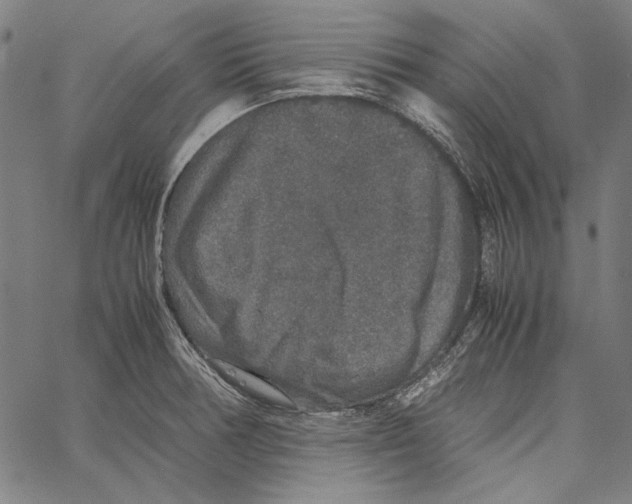 X0000062151378200601060938