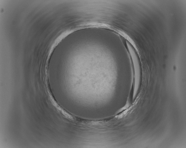 X0000062151381200601060938