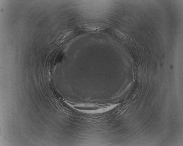 X0000062151394200601060937