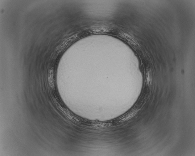 X0000062151396200601060937