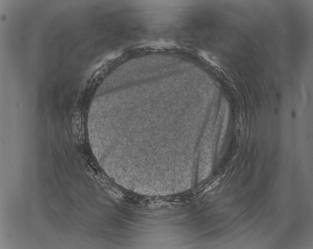X0000062151398200601060937