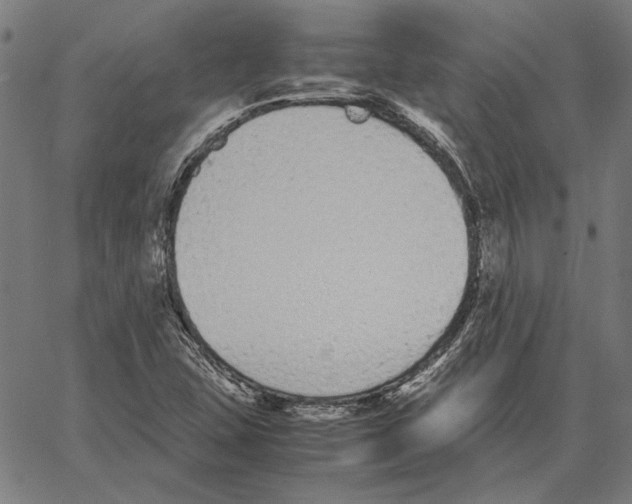 X0000062151407200601060937