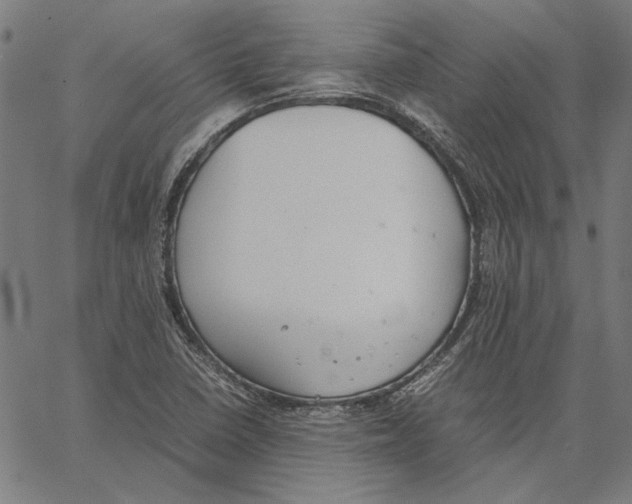 X0000062151410200601060937