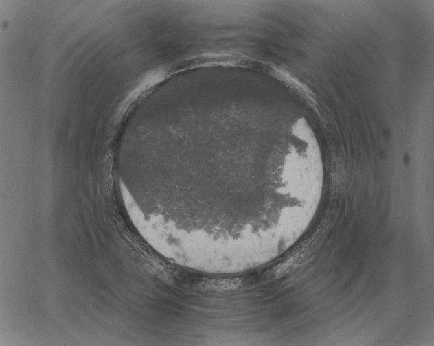 X0000062151411200601060937