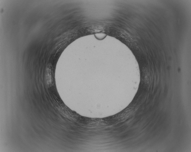 X0000062151442200601060937