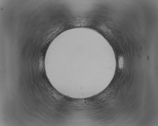 X0000062151444200601060937