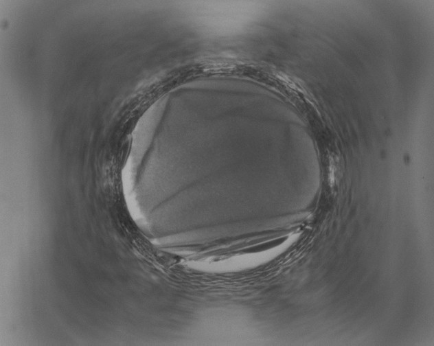 X0000062151445200601060937