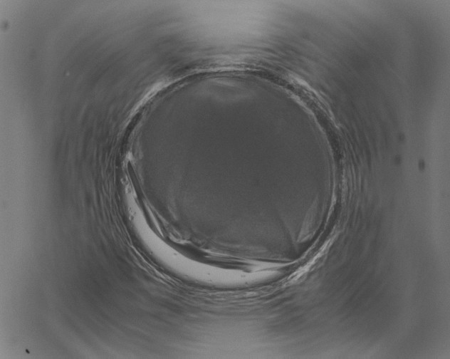 X0000062151449200601060937