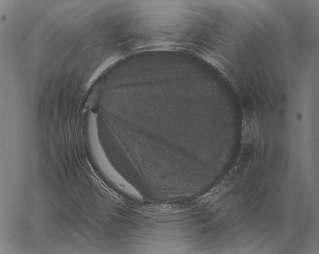X0000062151450200601060937