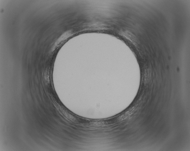 X0000062151451200601060936