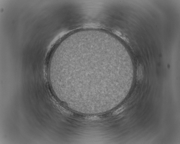 X0000062151454200601060936