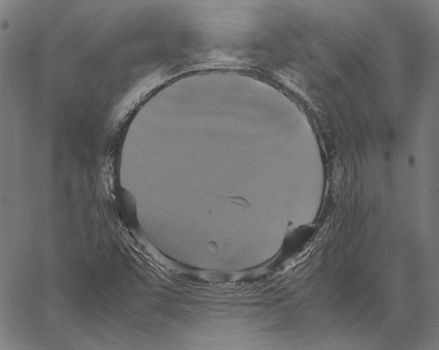 X0000062151455200601060936